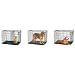 Midwest Life Stages Single-Door Folding Metal Dog Crate, 42 Inches by 28 Inches by 31 Inches