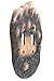 LL Home Bear PAW Double Switch Cover Plate