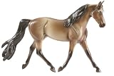41pzPmP8RbL. SL160  Buckskin Morgan