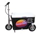 Cruzin Cooler 50-Series 300-Watt Electric Scooter (Black)