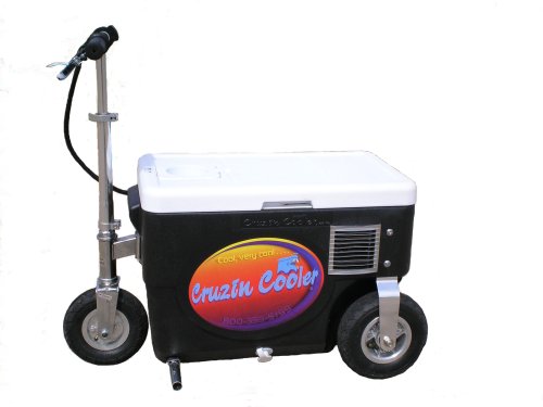 Cruzin Cooler 50-Series 300-Watt Electric Scooter (Black)