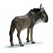 Schleich �V�����C�q �k�[