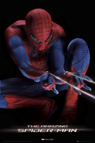 Spiderman on Spiderman   The Amazing Spider Man  Netz Poster  91 X 61cm