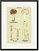 Black Framed/Matted Print 17x23, Edible Fungi: White Helvella