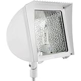 IMAGE OF RAB Lighting Flex Flood FX100W White HID Floodlight 100W HPS 120V Swivel Mount