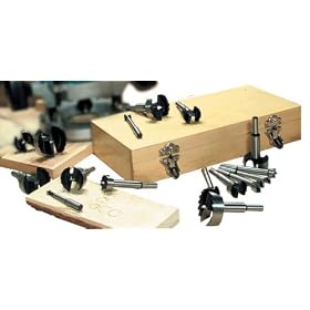 Professional Woodworker 16 Piece Forstner Bit Set, 1 4 to 2-1 8 by Homier Distributing