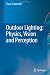 Outdoor Lighting: Physics, Vision and Perception
