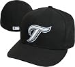Men`s Toronto Blue Jays New Era Alternate Cap