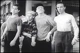 The East Side Kids in Clancy Street Boys DVD (1943) Starring Leo Gorcey, Huntz Hall, Bobby Jordan, Noah Beery, Amelita Ward, Benny Bartlett, Rick Vallin, William Benedict, Farrell MacDonald, Jan Rubini, Martha Wentworth, Ernest Morrison, Dick Chandlee, Eddie Mills, and George DeNormand.