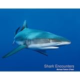 Shark Encounters