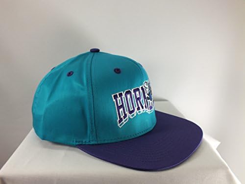CHARLOTTE HORNETS NBA VINTAGE SNAPBACK CAP