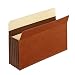 Globe-Weis Accordion File Pockets, 5.25-Inch Expansion, Legal Size, Brown, 10-Count (C1536GHD)