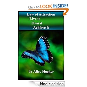 Law of Attraction "Live it, Own it, Achieve it" book cover