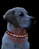 Hunde Halsband Leuchthalsband Hunde Blinkhalsband S rot