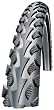schwalbe