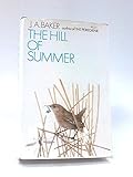 The hill of summer
