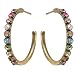 Michal Negrin Lovely Hoop Earrings with Multicolor Swarovski Crystals