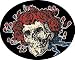 Grateful Dead Skull & Roses Antenna Topper AB-0028