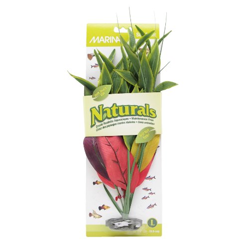 Marina Naturals Dracena Silk Plant, Large, Red/Yellow