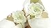 Darling Party Shoes with Daisy