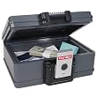 First Alert 2011F Fire and Water Chest, 0.17 Cubic Foot, Gray