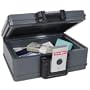 First Alert 2011F Fire and Water Chest, 0.17 Cubic Foot, Gray