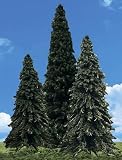 Classic Trees, Forever Green 7-8" (3)