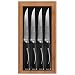 Ginsu Hanaita Series 05912 33 Layer Japanese VG-1 Core Damascus Stainless Steel Set of Four 5-InchSteak Knives