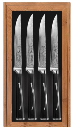 Ginsu Hanaita Series 05901 33 Layer Japanese VG-1 Core Damascus Stainless Steel, Set of Four 5-Inch Steak Knives