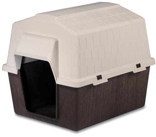 automatic dog feeder pet barn