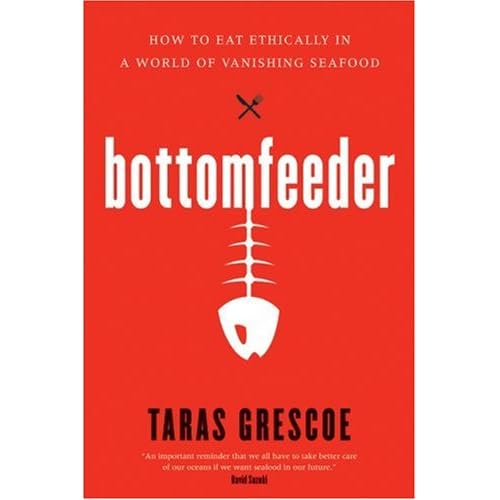 book cover art