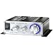 Lepai Tripath Class-T Hi-Fi Audio Mini Amplifier with Power Supply