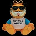 Ty Garfield Perfectly Lovable Beanie Katze 22 cm