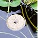 Mosquito Dunks - 20 Pack Safely Kill Mosquito Larvae in Fish Ponds, Bird Baths, and Standing Water