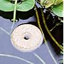 Mosquito Dunks - 20 Pack Safely Kill Mosquito Larvae in Fish Ponds, Bird Baths, and Standing Water