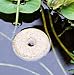 Mosquito Dunks - 20 Pack Safely Kill Mosquito Larvae in Fish Ponds, Bird Baths, and Standing Water