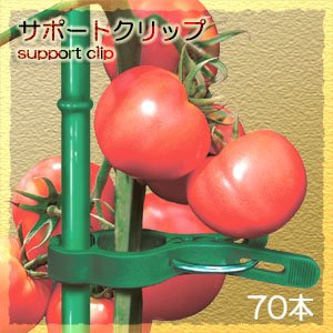 サポートクリップ（ワンタッチ茎クリップ）70本