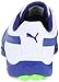 PUMA Titantour V2 Junior Skate Shoe (Little Kid/Big Kid)