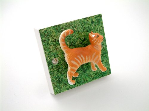 Funky Cat Dimmer Light Switch Ideal For The Kitchen or Lounge