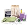 Green Gifting Queen Bee Kit, Burt's Bees