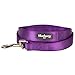Blueberry Pet Essentials 19 Colors Durable Classic Dog Leash 4 ft x 1