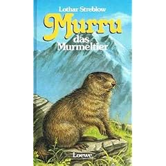 Murru, das Murmeltier