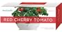 AeroGarden 800350-0200 3-Pod Seed Kit, Red Cherry Tomato