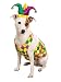 Mardi Gras Dog Costume - Mr. Jester Dog Costume - Medium