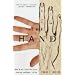 The Hand: How Its Use Shapes the Brain, Language, and Human Culture