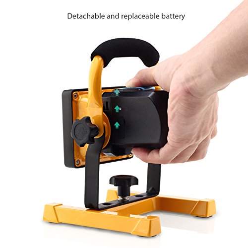 Imagen 7 de Aglaia 0