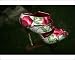 Photographic Prints of Manolo Blahnik shoe from Ros Drinkwater