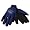 Nevada Wolf Pack