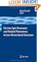 Electron Spin Resonance and Related Phenomena in Low-Dimensional Structures (Topics in Applied Physics)
