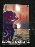 Hidden journey : a spiritual awakening